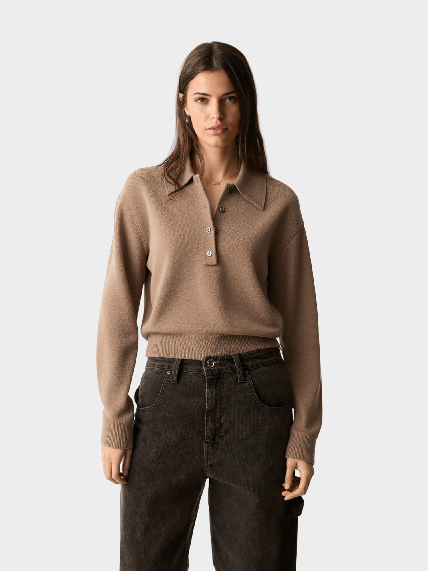 Beige Polo - Neck Knit Sweater